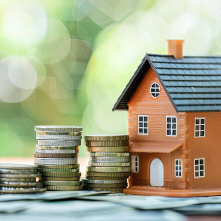 The Smart Investor's Secret